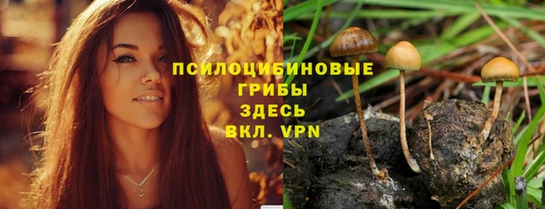 молекула духа Беломорск